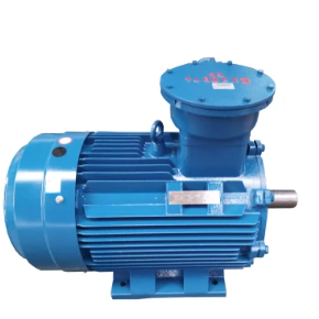 Squirrel Cage Explosion Proof AC Motor Induction: What Makes It the Ideal Choice for Hazardous Environments