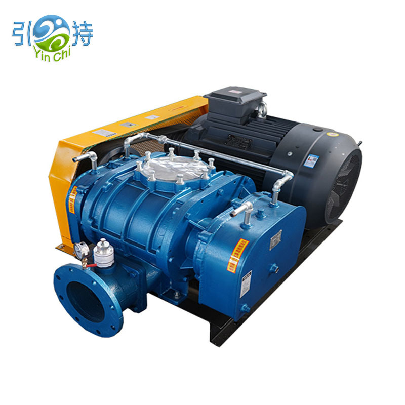 Negative Pressure Roots Vacuum Pump Blower equipment display